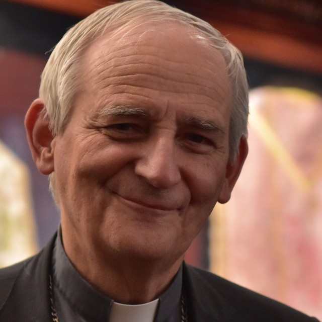 Papa Franjo ne unosi novine u nauk Crkve nego mijenja dinamiku » naslovna