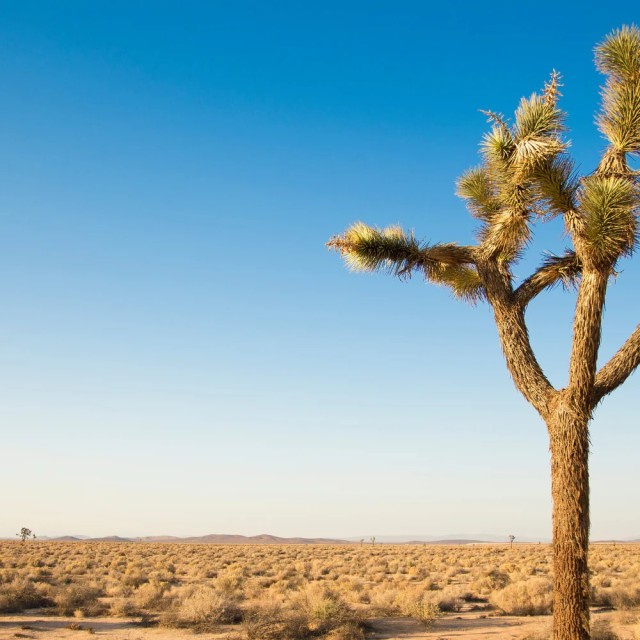 Naslovna » naslovna