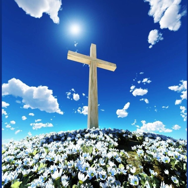 Naslovna » naslovna