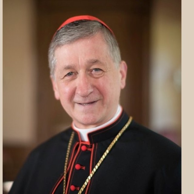 Naslovna » naslovna