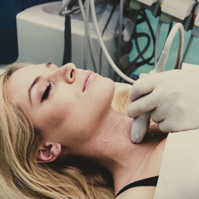 Studeni 2025 » naslovna