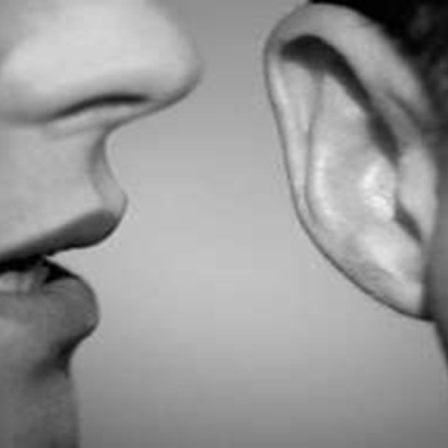 Naslovna » naslovna